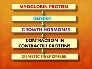 MYOGLOBIN PROTEIN
GROWTH HORMONES
GENDER
GENETIC RESPONSES
CONTRACTION IN
CONTRACTILE PROTEINS
 