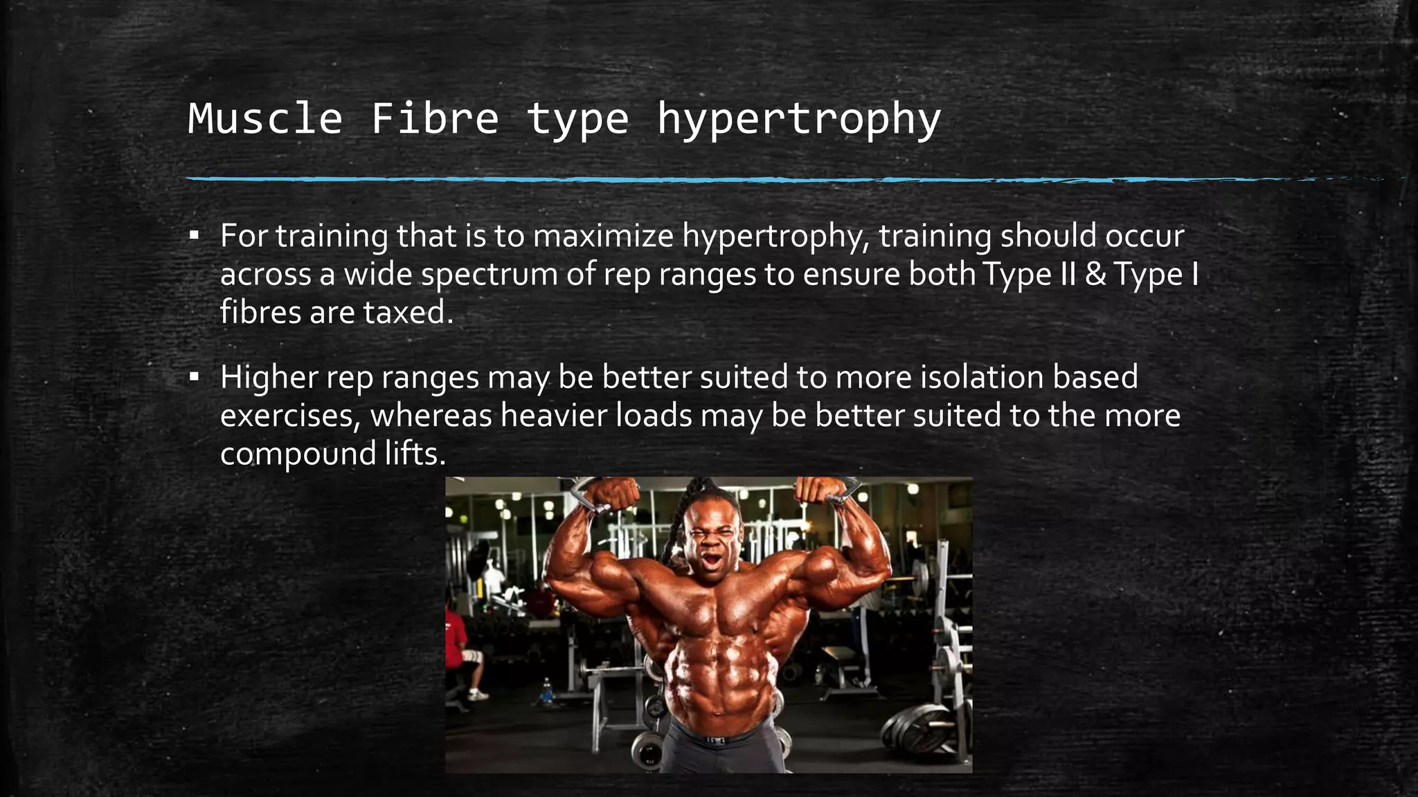 Muscle Fibre type hypertrophy
▪ For training that is to maximize hypertrophy, training should occur
across a wide spectrum of rep ranges to ensure bothType II &Type I
fibres are taxed.
▪ Higher rep ranges may be better suited to more isolation based
exercises, whereas heavier loads may be better suited to the more
compound lifts.
 