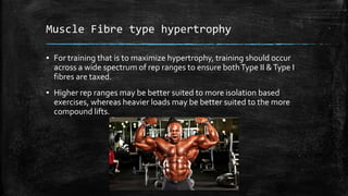 Muscular hypertrophy presentation | PPTX