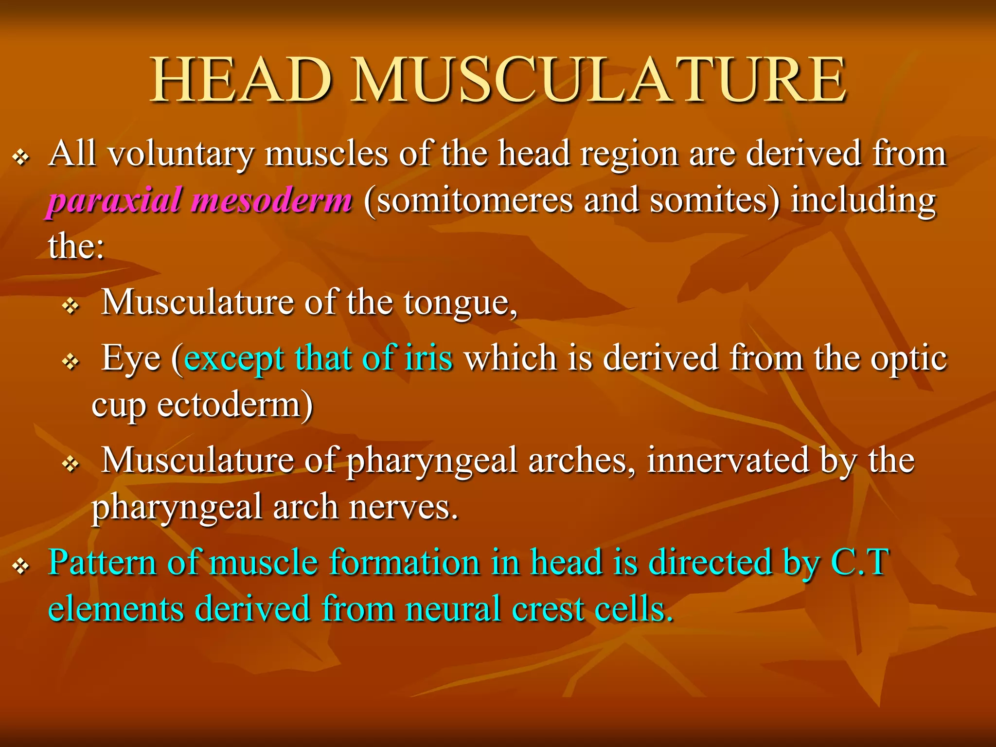 HEAD MUSCULATURE
 All voluntary muscles of the head region are derived from
paraxial mesoderm (somitomeres and somites) including
the:
 Musculature of the tongue,
 Eye (except that of iris which is derived from the optic
cup ectoderm)
 Musculature of pharyngeal arches, innervated by the
pharyngeal arch nerves.
 Pattern of muscle formation in head is directed by C.T
elements derived from neural crest cells.
 