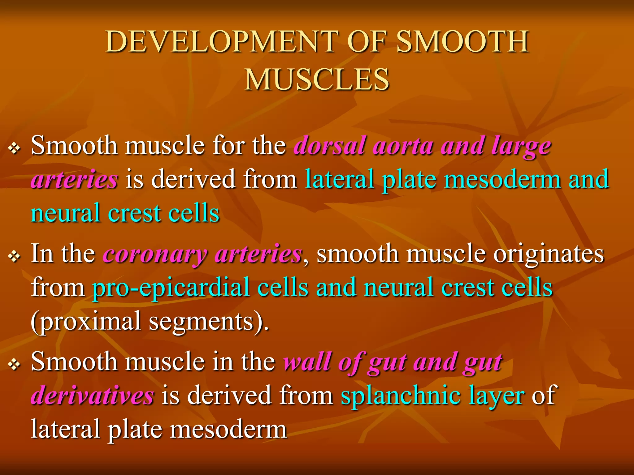 DEVELOPMENT OF SMOOTH
MUSCLES
 Smooth muscle for the dorsal aorta and large
arteries is derived from lateral plate mesoderm and
neural crest cells
 In the coronary arteries, smooth muscle originates
from pro-epicardial cells and neural crest cells
(proximal segments).
 Smooth muscle in the wall of gut and gut
derivatives is derived from splanchnic layer of
lateral plate mesoderm
 