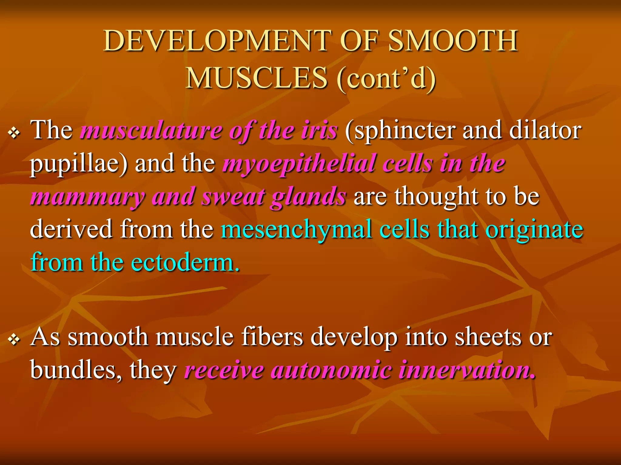 DEVELOPMENT OF SMOOTH
MUSCLES (cont’d)
 The musculature of the iris (sphincter and dilator
pupillae) and the myoepithelial cells in the
mammary and sweat glands are thought to be
derived from the mesenchymal cells that originate
from the ectoderm.
 As smooth muscle fibers develop into sheets or
bundles, they receive autonomic innervation.
 