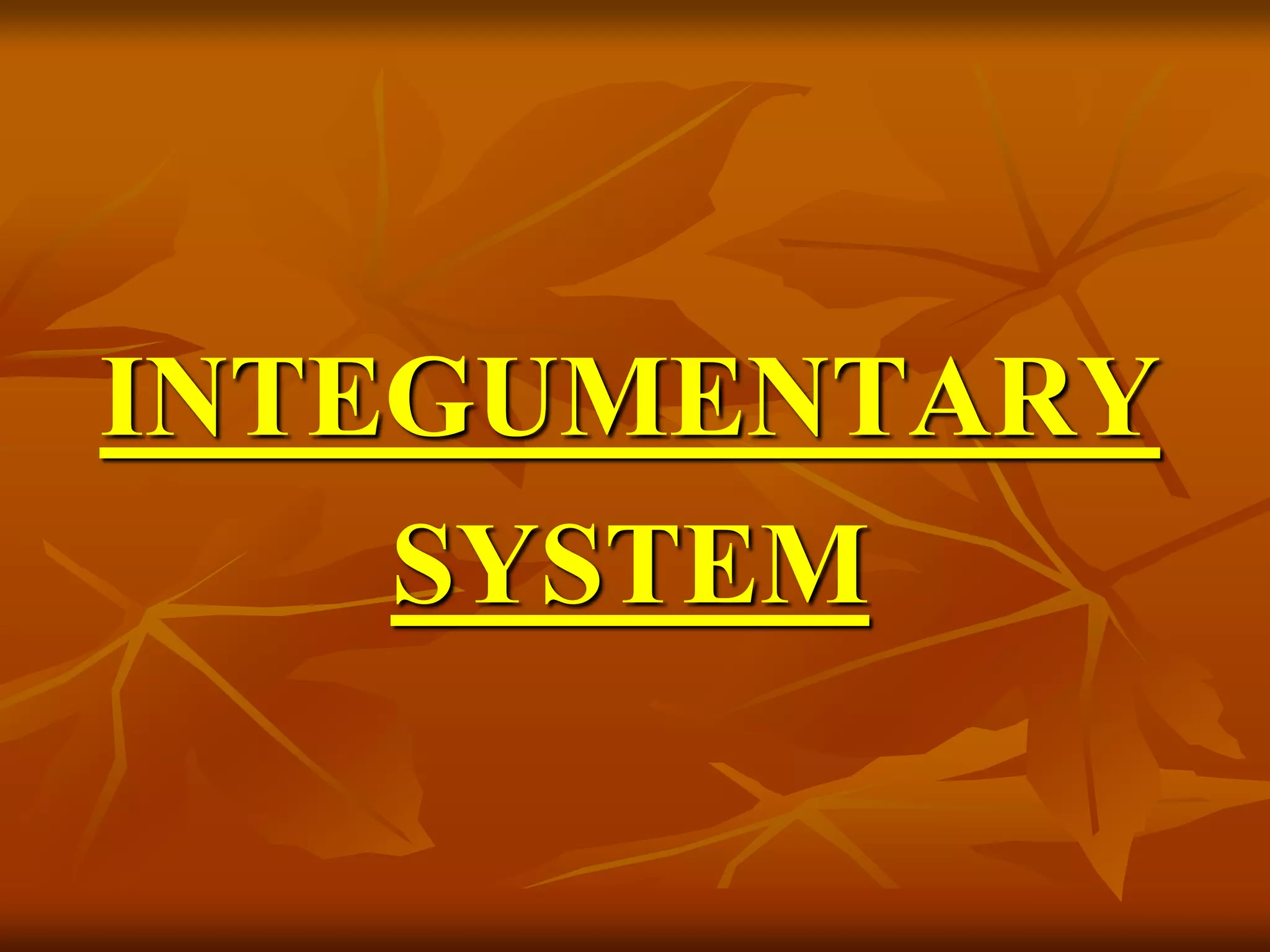 INTEGUMENTARY
SYSTEM
 