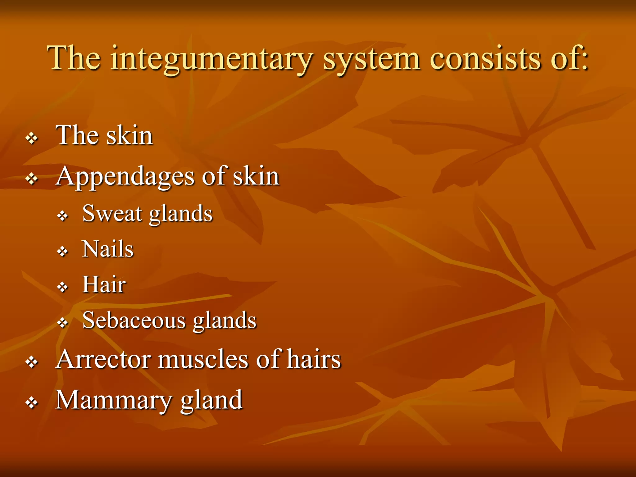 The integumentary system consists of:
 The skin
 Appendages of skin
 Sweat glands
 Nails
 Hair
 Sebaceous glands
 Arrector muscles of hairs
 Mammary gland
 