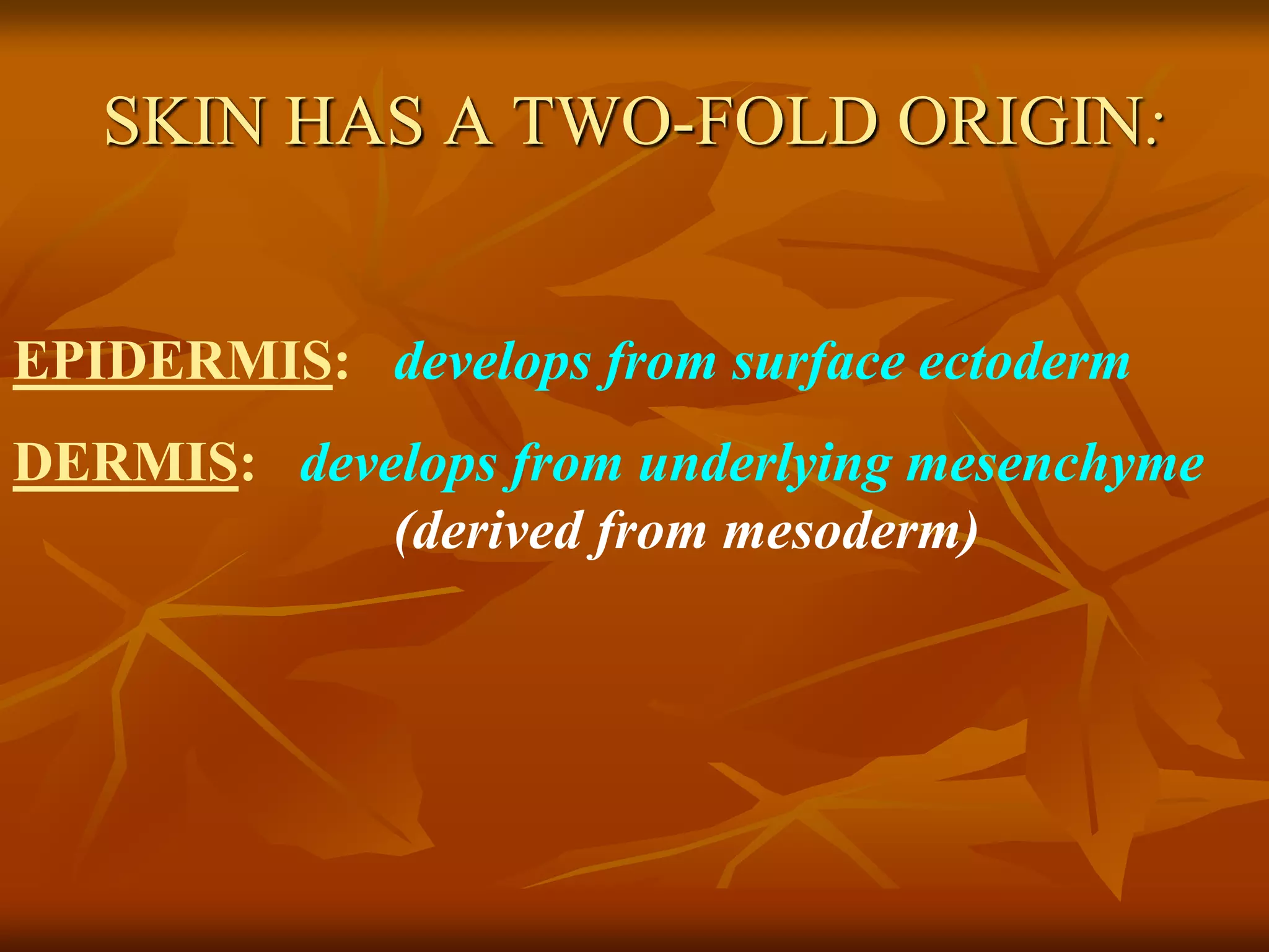 SKIN HAS A TWO-FOLD ORIGIN:
EPIDERMIS: develops from surface ectoderm
DERMIS: develops from underlying mesenchyme
(derived from mesoderm)
 