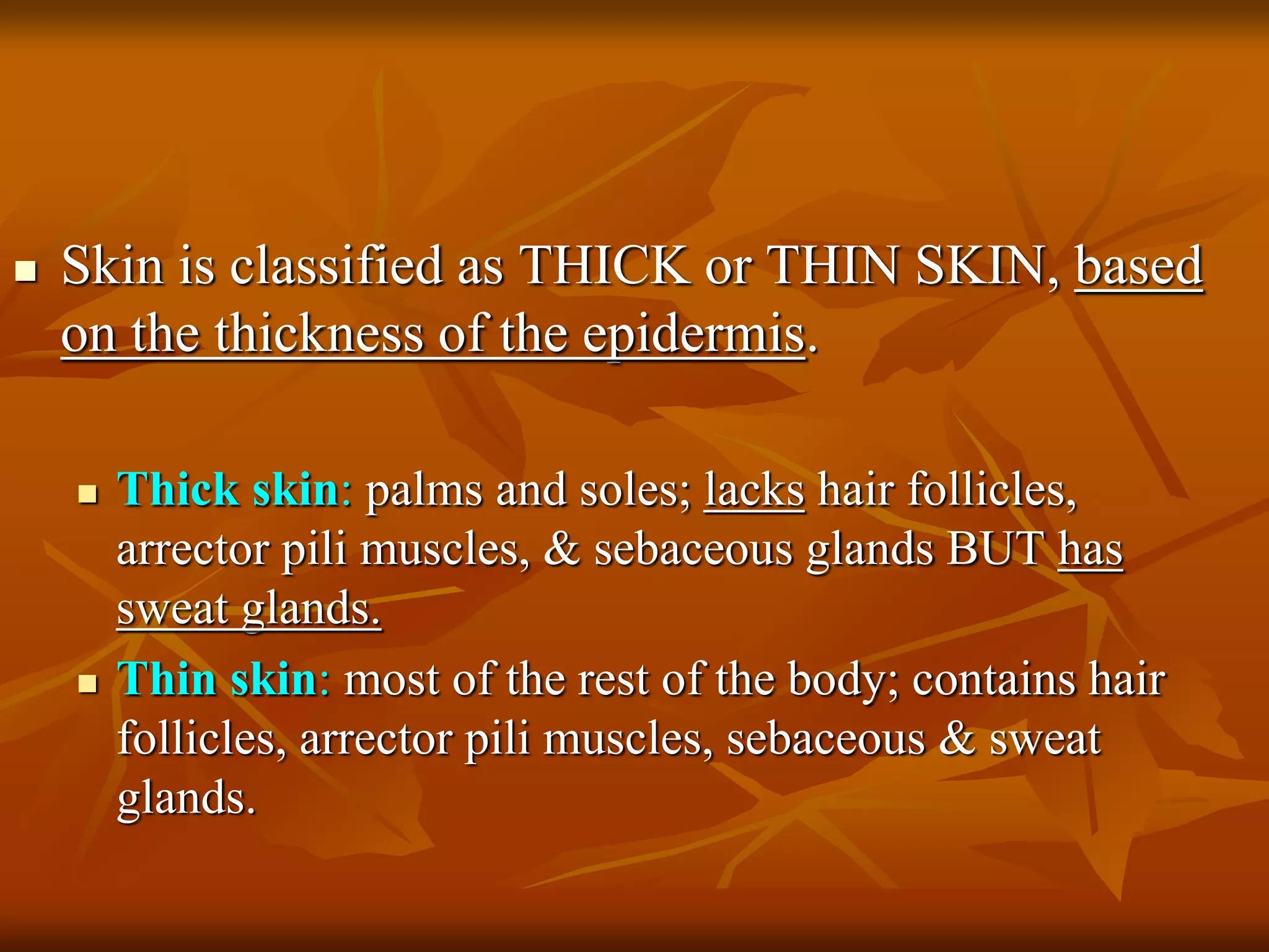  Skin is classified as THICK or THIN SKIN, based
on the thickness of the epidermis.
 Thick skin: palms and soles; lacks hair follicles,
arrector pili muscles, & sebaceous glands BUT has
sweat glands.
 Thin skin: most of the rest of the body; contains hair
follicles, arrector pili muscles, sebaceous & sweat
glands.
 