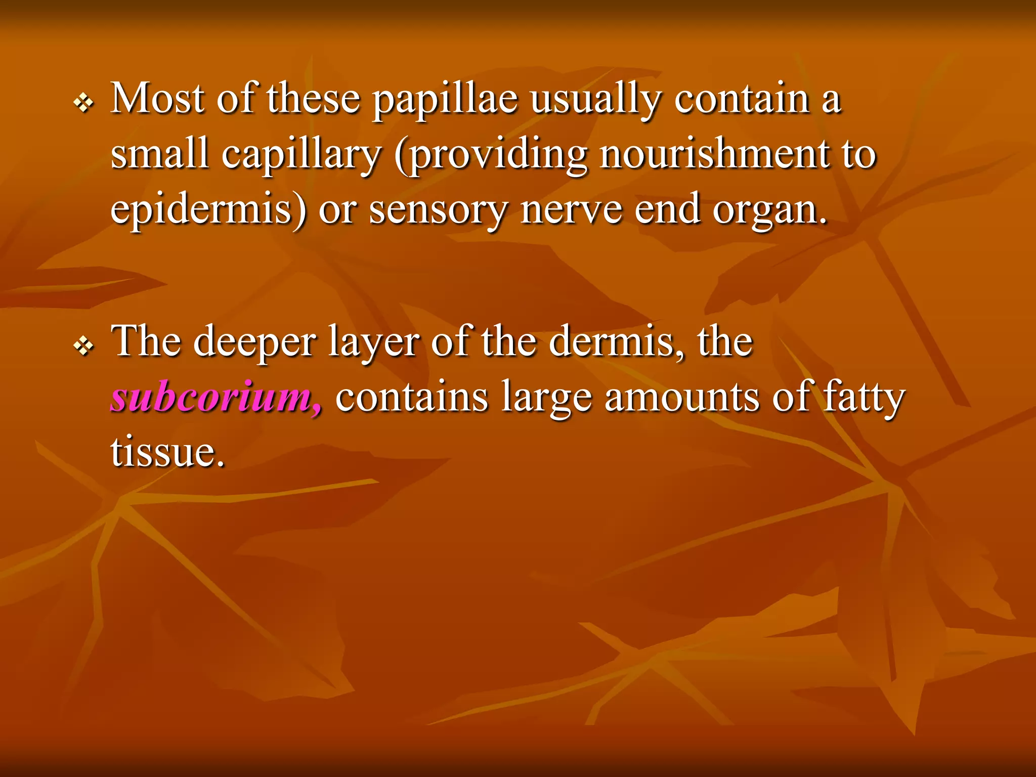  Most of these papillae usually contain a
small capillary (providing nourishment to
epidermis) or sensory nerve end organ.
 The deeper layer of the dermis, the
subcorium, contains large amounts of fatty
tissue.
 
