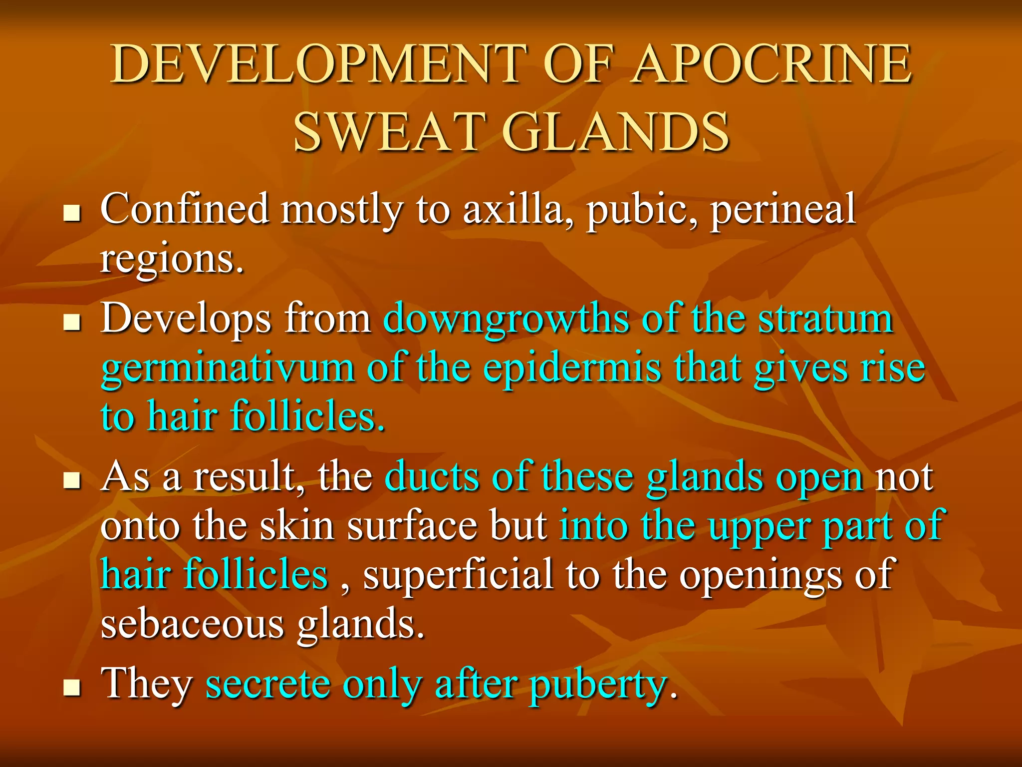 DEVELOPMENT OF APOCRINE
SWEAT GLANDS
 Confined mostly to axilla, pubic, perineal
regions.
 Develops from downgrowths of the stratum
germinativum of the epidermis that gives rise
to hair follicles.
 As a result, the ducts of these glands open not
onto the skin surface but into the upper part of
hair follicles , superficial to the openings of
sebaceous glands.
 They secrete only after puberty.
 