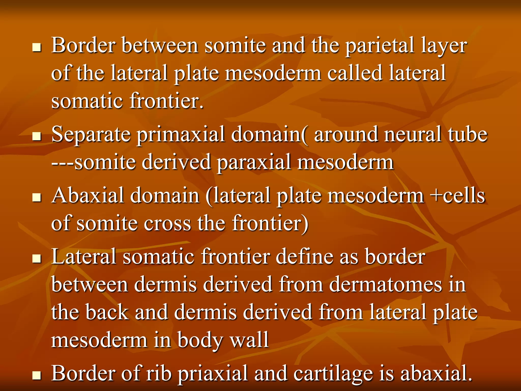  Border between somite and the parietal layer
of the lateral plate mesoderm called lateral
somatic frontier.
 Separate primaxial domain( around neural tube
---somite derived paraxial mesoderm
 Abaxial domain (lateral plate mesoderm +cells
of somite cross the frontier)
 Lateral somatic frontier define as border
between dermis derived from dermatomes in
the back and dermis derived from lateral plate
mesoderm in body wall
 Border of rib priaxial and cartilage is abaxial.
 