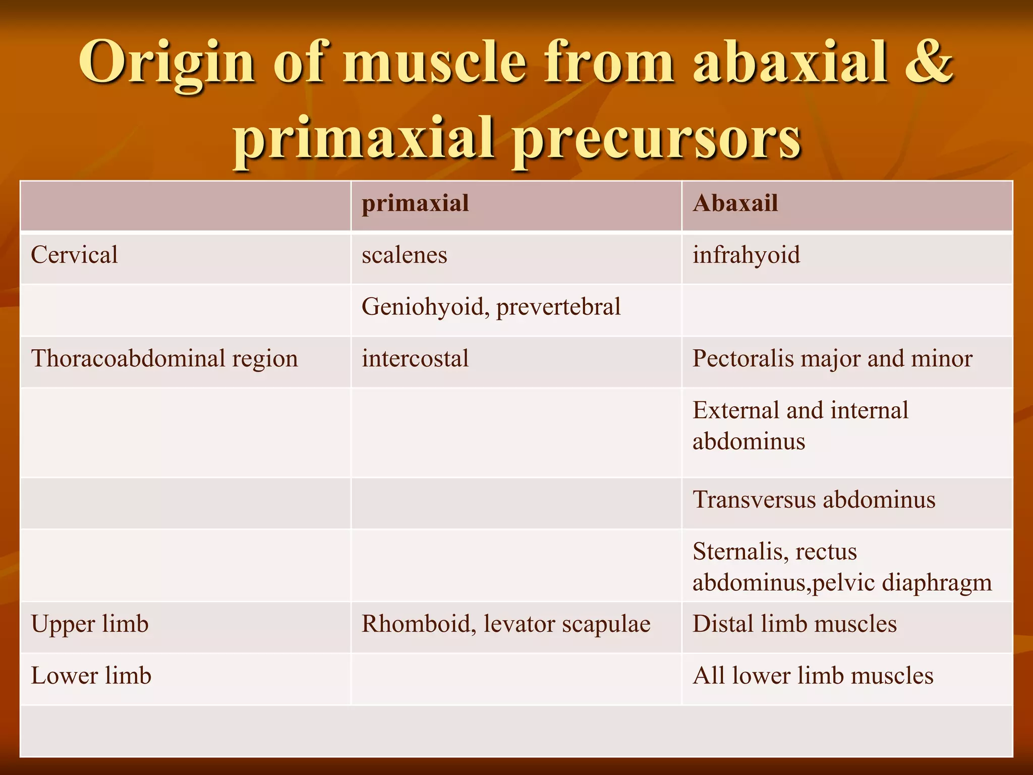 Origin of muscle from abaxial &
primaxial precursors
primaxial Abaxail
Cervical scalenes infrahyoid
Geniohyoid, prevertebral
Thoracoabdominal region intercostal Pectoralis major and minor
External and internal
abdominus
Transversus abdominus
Sternalis, rectus
abdominus,pelvic diaphragm
Upper limb Rhomboid, levator scapulae Distal limb muscles
Lower limb All lower limb muscles
 