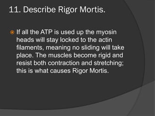 11. Describe Rigor Mortis.

   If all the ATP is used up the myosin
    heads will stay locked to the actin
    filaments, meaning no sliding will take
    place. The muscles become rigid and
    resist both contraction and stretching;
    this is what causes Rigor Mortis.
 