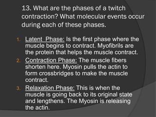 13. What are the phases of a twitch
     contraction? What molecular events occur
     during each of these phases.

1. Latent Phase: Is the first phase where the
   muscle begins to contract. Myofibrils are
   the protein that helps the muscle contract.
2. Contraction Phase: The muscle fibers
   shorten here. Myosin pulls the actin to
   form crossbridges to make the muscle
   contract.
3. Relaxation Phase: This is when the
   muscle is going back to its original state
   and lengthens. The Myosin is releasing
   the actin.
 