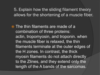 5. Explain how the sliding filament theory
allows for the shortening of a muscle fiber.

   The thin filaments are made of a
    combination of three proteins:
    actin, tropomyosin, and troponin. when
    the muscle fiber is relaxed, the thin
    filaments terminate at the outer edges of
    the H zones. In contrast, the thick
    myosin filaments do not attach directly
    to the Zlines, and they extend only the
    length of the A bands of the sarcomas.
 