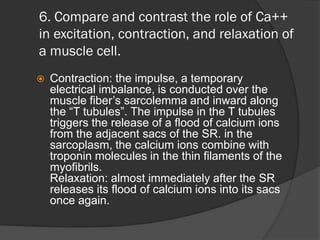 6. Compare and contrast the role of Ca++
in excitation, contraction, and relaxation of
a muscle cell.
   Contraction: the impulse, a temporary
    electrical imbalance, is conducted over the
    muscle fiber’s sarcolemma and inward along
    the “T tubules”. The impulse in the T tubules
    triggers the release of a flood of calcium ions
    from the adjacent sacs of the SR. in the
    sarcoplasm, the calcium ions combine with
    troponin molecules in the thin filaments of the
    myofibrils.
    Relaxation: almost immediately after the SR
    releases its flood of calcium ions into its sacs
    once again.
 