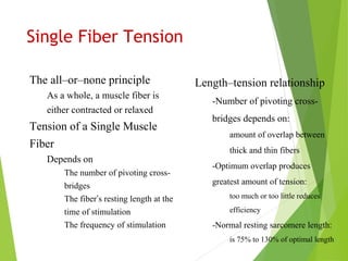 Single Fiber Tension
The all–or–none principle
As a whole, a muscle fiber is
either contracted or relaxed
Tension of a Single Muscle
Fiber
Depends on
The number of pivoting cross-
bridges
The fiber’s resting length at the
time of stimulation
The frequency of stimulation
Length–tension relationship
-Number of pivoting cross-
bridges depends on:
amount of overlap between
thick and thin fibers
-Optimum overlap produces
greatest amount of tension:
too much or too little reduces
efficiency
-Normal resting sarcomere length:
is 75% to 130% of optimal length
 
