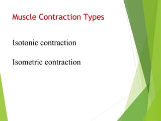 Muscle Contraction Types
Isotonic contraction
Isometric contraction
 