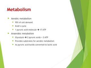 Metabolism
 Aerobic metabolism
 95% of cell demand
 Kreb’s cycle
 1 pyruvic acid molecule  17 ATP
 Anaerobic metabolism
 Glycolysis  2 pyruvic acids + 2 ATP
 Provides substrates for aerobic metabolism
 As pyruvic acid builds converted to lactic acid
 