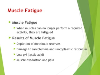 Muscle Fatigue
 Muscle Fatigue
 When muscles can no longer perform a required
activity, they are fatigued
 Results of Muscle Fatigue
 Depletion of metabolic reserves
 Damage to sarcolemma and sarcoplasmic reticulum
 Low pH (lactic acid)
 Muscle exhaustion and pain
 