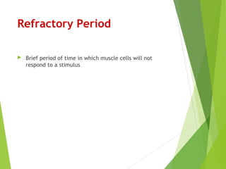 Refractory Period
 Brief period of time in which muscle cells will not
respond to a stimulus
 