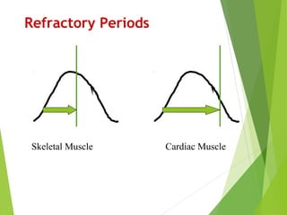 Skeletal Muscle Cardiac Muscle
Refractory Periods
 