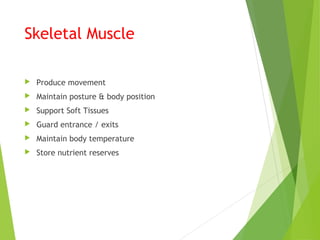 Skeletal Muscle
 Produce movement
 Maintain posture & body position
 Support Soft Tissues
 Guard entrance / exits
 Maintain body temperature
 Store nutrient reserves
 