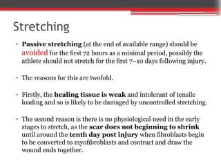 Stretching
• Passive stretching (at the end of available range) should be
avoided for the ﬁrst 72 hours as a minimal period, possibly the
athlete should not stretch for the ﬁrst 7–10 days following injury.
• The reasons for this are twofold.
• Firstly, the healing tissue is weak and intolerant of tensile
loading and so is likely to be damaged by uncontrolled stretching.
• The second reason is there is no physiological need in the early
stages to stretch, as the scar does not beginning to shrink
until around the tenth day post injury when ﬁbroblasts begin
to be converted to myoﬁbroblasts and contract and draw the
wound ends together.
 