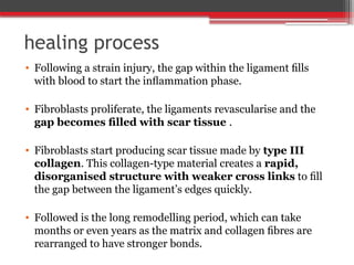 healing process
• Following a strain injury, the gap within the ligament ﬁlls
with blood to start the inﬂammation phase.
• Fibroblasts proliferate, the ligaments revascularise and the
gap becomes ﬁlled with scar tissue .
• Fibroblasts start producing scar tissue made by type III
collagen. This collagen-type material creates a rapid,
disorganised structure with weaker cross links to ﬁll
the gap between the ligament’s edges quickly.
• Followed is the long remodelling period, which can take
months or even years as the matrix and collagen ﬁbres are
rearranged to have stronger bonds.
 