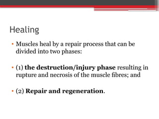 Healing
• Muscles heal by a repair process that can be
divided into two phases:
• (1) the destruction/injury phase resulting in
rupture and necrosis of the muscle ﬁbres; and
• (2) Repair and regeneration.
 