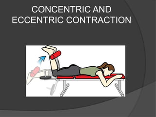 CONCENTRIC AND
ECCENTRIC CONTRACTION
 