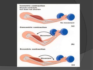 Muscular strength and endurance