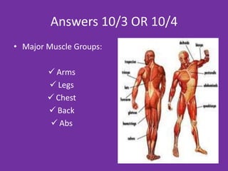 Answers 2/8/13
• Major Muscle Groups:

         Arms
         Legs
         Chest
         Back
         Abs
 
