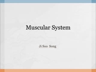 Muscular System Ji Soo  Song 