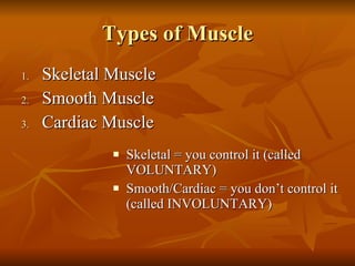 Muscular System | PPT