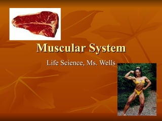 Muscular System Life Science, Ms. Wells 