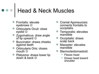 Head & Neck Muscles







Frontalis: elevate
eyebrows 
Orbicularis Oculi: close
eyelid 
Zygomaticus: draw angle
of lip upward 
Buccinator: draws cheeks
against teeth
Orbicularis Oris: closes
mouth 
Platysma: draws lower lip
down & back 








Cranial Aponeurosis:
connects frontalis to
occipitalis
Temporalis: elevates
mandible
Occipitalis: draws
scalp back
Masseter: elevates
mandible
Sternocleidomastoid:



Flexes head
Draws head toward
shoulder

 