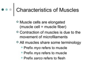 Characteristics of Muscles
Muscle cells are elongated
(muscle cell = muscle fiber)
 Contraction of muscles is due to the
...