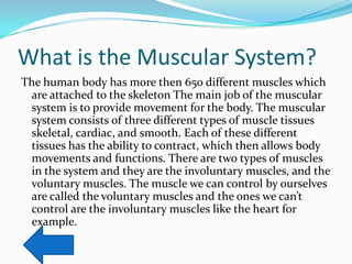 What is the Muscular System?
The human body has more then 650 different muscles which
 are attached to the skeleton The main job of the muscular
 system is to provide movement for the body. The muscular
 system consists of three different types of muscle tissues
 skeletal, cardiac, and smooth. Each of these different
 tissues has the ability to contract, which then allows body
 movements and functions. There are two types of muscles
 in the system and they are the involuntary muscles, and the
 voluntary muscles. The muscle we can control by ourselves
 are called the voluntary muscles and the ones we can’t
 control are the involuntary muscles like the heart for
 example.
 