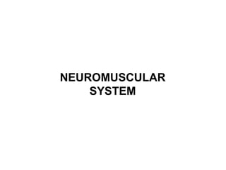 NEUROMUSCULAR SYSTEM 
