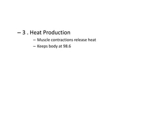 – 3 . Heat Production
– Muscle contractions release heat
– Keeps body at 98.6
 