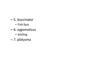 – 5. buccinator
• Fish face
– 6. zygomaticus
• Smiling
– 7. platysma
 