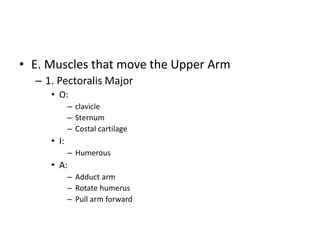 • E. Muscles that move the Upper Arm
– 1. Pectoralis Major
• O:
– clavicle
– Sternum
– Costal cartilage
• I:
– Humerous
• A:
– Adduct arm
– Rotate humerus
– Pull arm forward
 