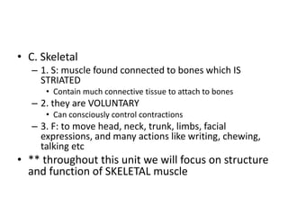 • C. Skeletal
– 1. S: muscle found connected to bones which IS
STRIATED
• Contain much connective tissue to attach to bones
– 2. they are VOLUNTARY
• Can consciously control contractions
– 3. F: to move head, neck, trunk, limbs, facial
expressions, and many actions like writing, chewing,
talking etc
• ** throughout this unit we will focus on structure
and function of SKELETAL muscle
 
