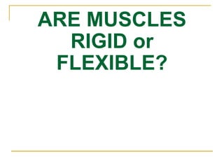 ARE MUSCLES RIGID or FLEXIBLE? 