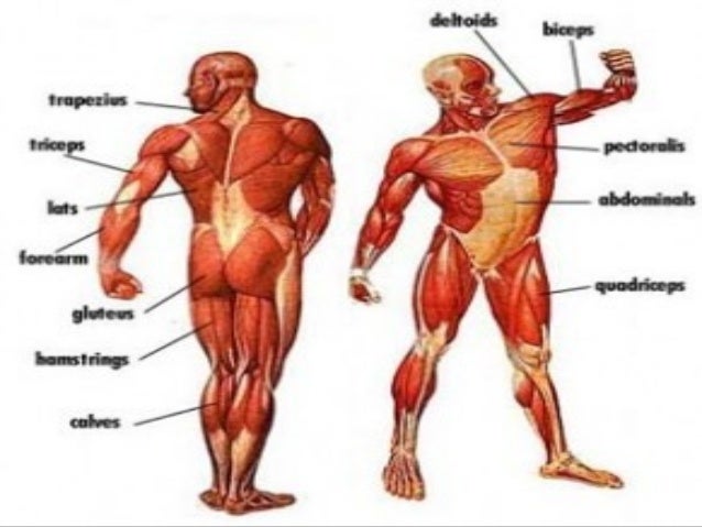 The Signals Person To Person The Signals Person To Person