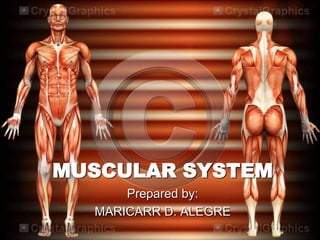 MUSCULAR SYSTEM
      Prepared by:
  MARICARR D. ALEGRE
 