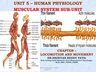 UNIT 5 – HUMAN PHYSIOLOGY
           MUSCULAR SYSTEM SUB-UNIT




                                       CHAPTER –
                                LOCOMOTION AND MOVEMENT
                                        DR.SRINIVAS REDDY PATIL
                                M.Sc Zoology (Gold Medalist).,Ph.D (Reproductive Physiology).,
                                                 M.Ed.,MBA.,PGDBA.,FMSPI


Saturday, February 9, 2013   DR.SRINIVASREDDY PATIL'S                                    1
                                     BIOLOGY
 