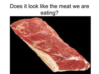 Does it look like the meat we are
             eating?
 