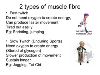 2 types of muscle fibre
• Fast twitch
Do not need oxygen to create energy,
Can produce faster movement
Tired out easily
Eg: Sprinting, jumping

• Slow Twitch (Enduring Sports)
Need oxygen to create energy
(Stored of glycogen)
Slower production of movement
Sustain longer
Eg: Jogging, Tai Chi
 