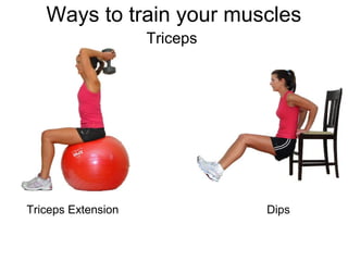 Ways to train your muscles
                    Triceps




Triceps Extension             Dips
 
