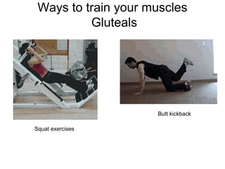 Ways to train your muscles
          Gluteals




                     Butt kickback

Squat exercises
 